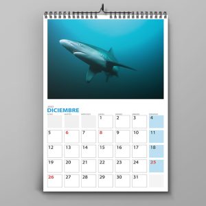 Calendarios Pared