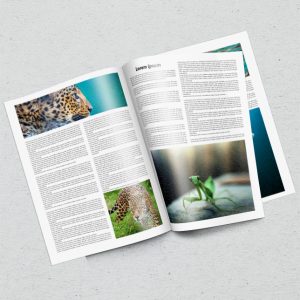 Revistas